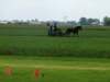 p1030853_small.jpg
